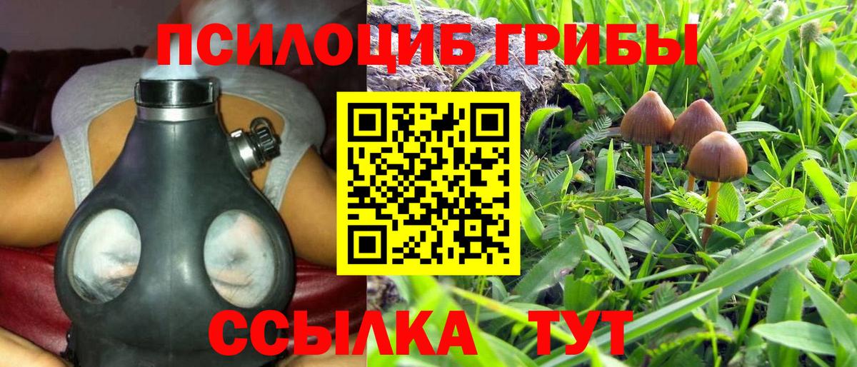 Галлюциногенные грибы GOLDEN TEACHER Вязники
