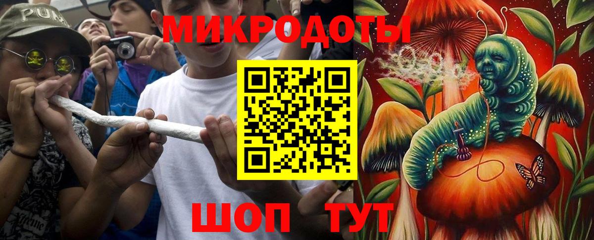 Вязники  Галлюциногенные грибы Cubensis  Вход с VPN 